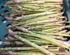 Our Asparagus is ready!