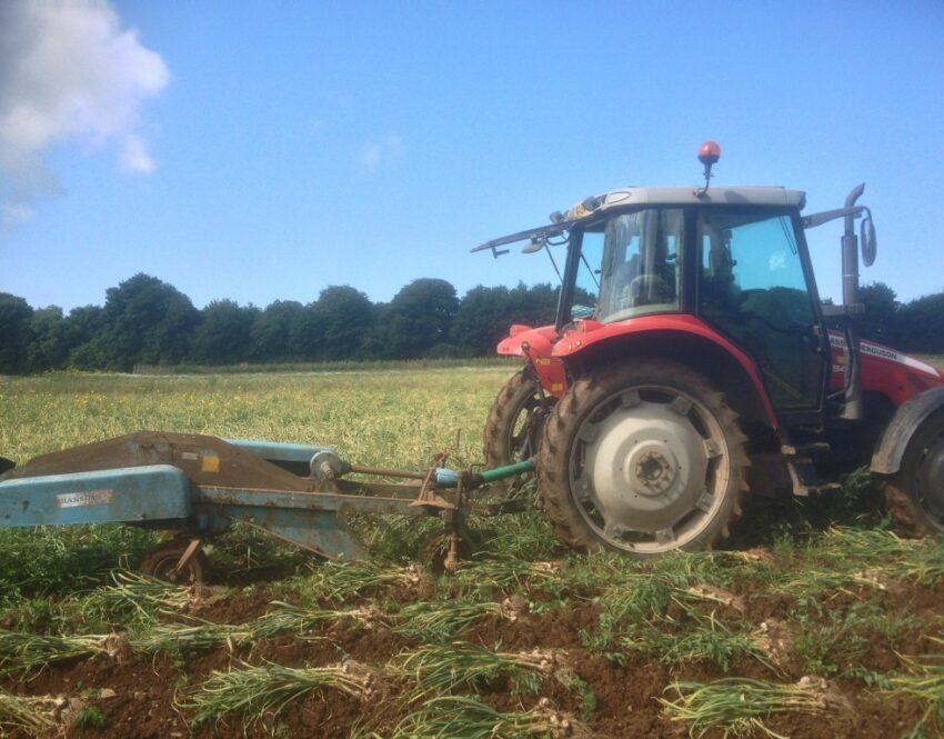 Hooton's HomegrownFarm Shop Anglesey, North Wales