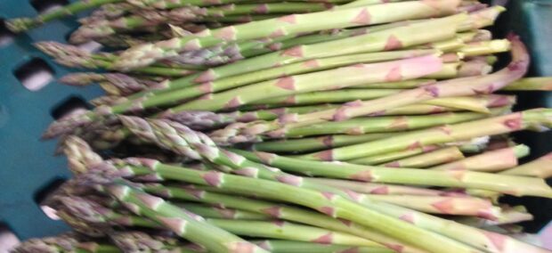 End of the Asparagus Season